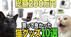 猫グッズに総額200万かけてきた男性の“本当に買ってよかった10選”　ど正直レビューに「いいもの知れました！」「めっちゃ助かる」