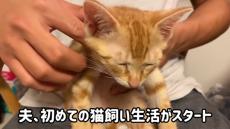 猫を飼うことに反対していた夫、1年経過したら……　飼い始めてからのほほ笑ましすぎる変化に「我が家もそうでした」「癒やされました」