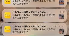 外出中、ペットカメラから「セルフィー通知」が……　届いた“数枚”に「最強にかわいくて涙」「犬の自撮り時代がきた」200万表示