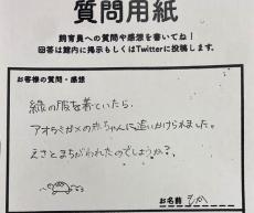 「ウミガメの赤ちゃんに追いかけられた」その理由は……？　飼育員が回答した“悲しい事実”に「ドンマイ」「センス良過ぎやろww」