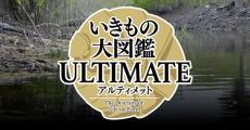 “1万9800円のガチャ”登場にツッコミ殺到　「破綻してる」「ガチャの意味ある？」「ちょっとほしい……」