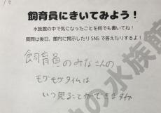 水族館スタッフの“もぐもぐタイム”はいつ見られる？　→館長の“粋な回答”が絶妙「完全に座布団1枚」