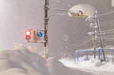 「進化しててワロタ」豪雪地帯でしか見れない“ありえない光景”に1万いいね　「上手すぎん？」「もはや氷像アート」と話題