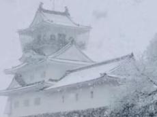 「クルマが雪に埋まった」「ドアが開けられない」　北海道はじめ各地の積雪、SNSに続々投稿される