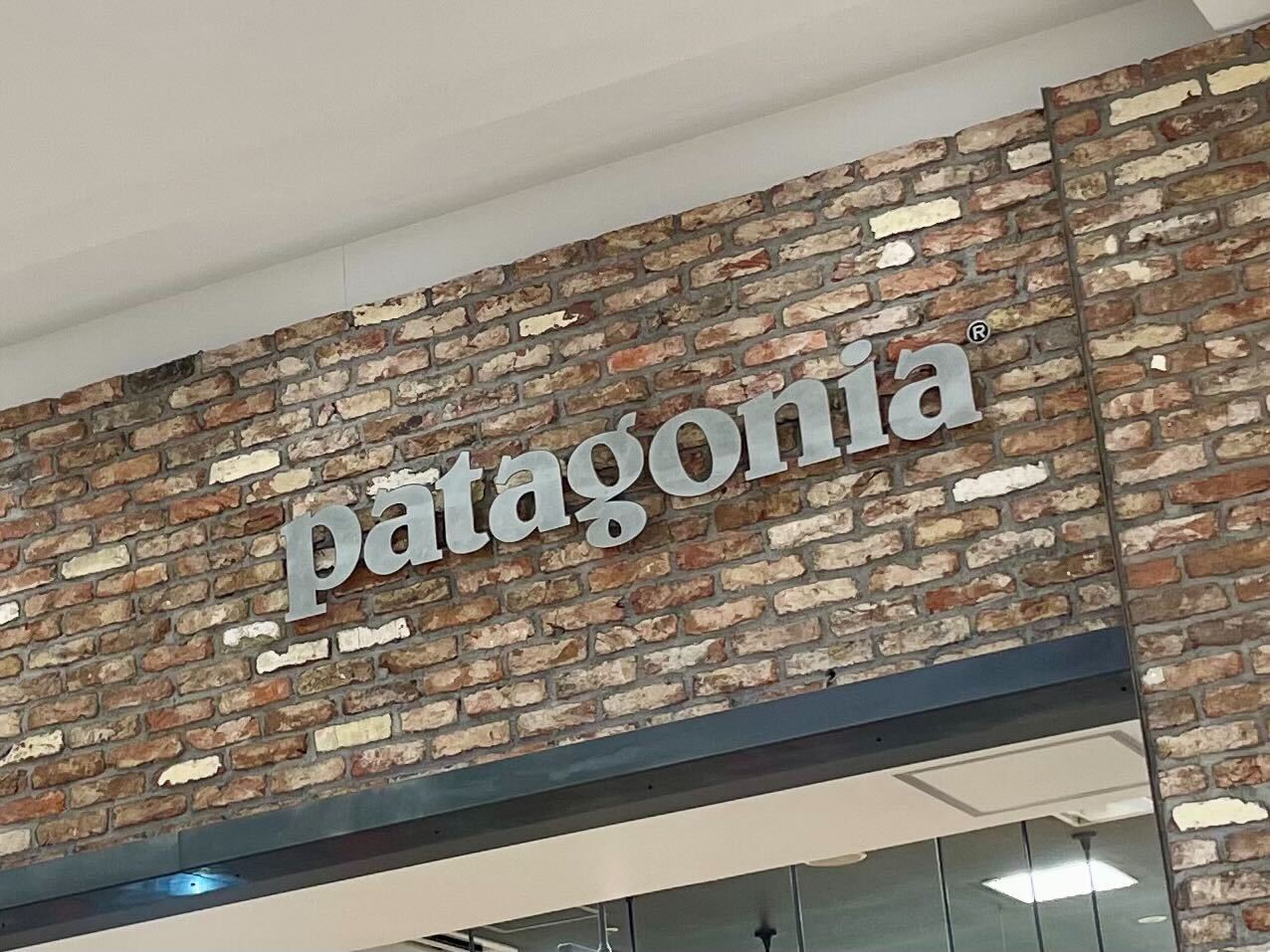 アメカジシルエットで満足」 patagonia（パタゴニア）の“ダウン