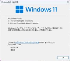 「Windows 11 2024 Update（バージョン24H2）」の既知の不具合まとめ【2025年1月14日現在】