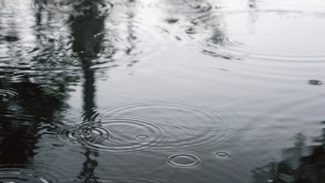 梅雨のジメジメ時期に起こりやすいカビ問題。ネイルにもトラブル、グリーンネイル注意報。