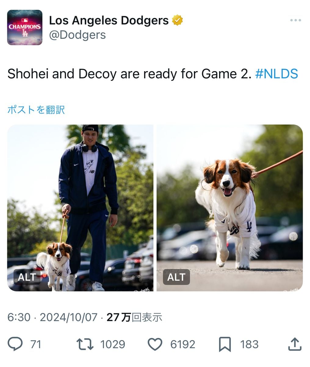 大谷翔平　デコピンと球場入り　SNS「デコイがWSに導く」「気合の入った顔している」大喜び　ド軍がXに公開