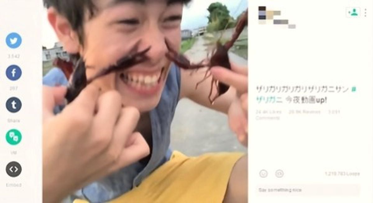 旧ツイッターの「Vine」復活？　米国TikTok禁止でマスク氏が言及