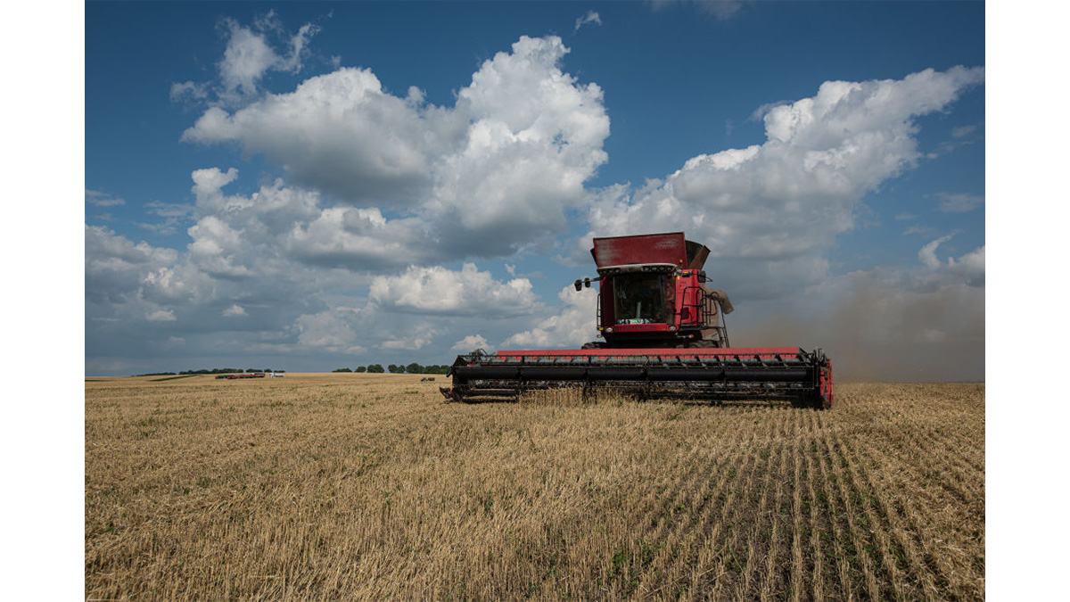 東欧、ウクライナ産穀物に反発