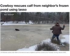 【海外発！Breaking News】凍った池から子牛を投げ縄で救出したカウボーイ「なにかがあれば全力で応じる」（米）＜動画あり＞