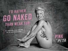 【イタすぎるセレブ達】P!NKが動物愛護団体「PETA」に協力。ヌードを披露！