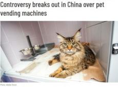 【海外発！Breaking News】生きた猫を陳列した自動販売機に「動物虐待」と怒りの声（中国）＜動画あり＞