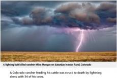 【海外発！Breaking News】牧場に雷直撃、51歳男性と牛34頭が死亡「これまで見てきた中で最悪のケース」（米）