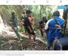 【海外発！Breaking News】一人で森に入った5児の母、6メートル超のヘビに丸呑みにされ死亡（インドネシア）＜動画あり＞