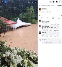 【海外発！Breaking News】洪水から猫4匹を救う女性、1枚の写真が人々の心を揺さぶる（マレーシア）