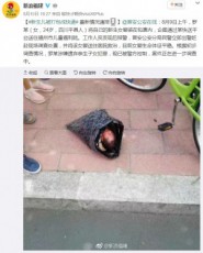 【海外発！Breaking News】新生児をビニール袋に入れ孤児院へ配送した鬼畜の母親（中国）
