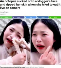 【海外発！Breaking News】生きたタコを食べようとした女性、吸盤で逆襲される（中国）＜動画あり＞