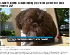 【海外発！Breaking News】「人間は身勝手なモンスター」　健康な犬を安楽死させ飼い主と一緒に埋葬（米）