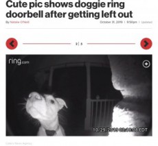 【海外発！Breaking News】飼い主にうっかり締め出された犬、夜中に帰宅してドアホンを鳴らす（米）＜動画あり＞