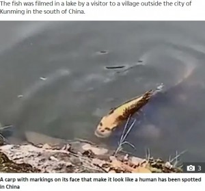 海外発！Breaking News】中国の湖で“人面魚”発見「まるでホリが深い人間」＜動画あり＞｜Infoseekニュース