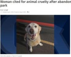 【海外発！Breaking News】犬を捨てる場面が防犯カメラに　身勝手な飼い主の行動に非難殺到（米）＜動画あり＞