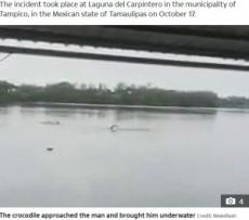 【海外発！Breaking News】遊泳禁止の湖で泳いでいた男性、ワニに頭を噛みつかれる（メキシコ）＜動画あり＞