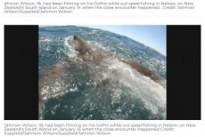 【海外発！Breaking News】銛で漁をしていた青年　手に持っていた魚をサメに奪われ腕を失いかける（ニュージーランド）＜動画あり＞