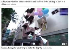 【海外発！Breaking News】愛犬を風船で大空へ　ユーチューバーが動物虐待で逮捕（印）＜動画あり＞