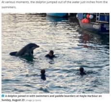 【海外発！Breaking News】野生のイルカが海水浴客に交ざって無邪気に遊ぶ「信じられない光景」（英）＜動画あり＞