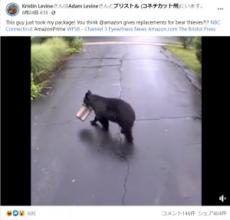 【海外発！Breaking News】監視カメラに映った毛むくじゃらの置き配泥棒　盗んだ荷物に「トイレに行きたかったのかな？」（米）＜動画あり＞