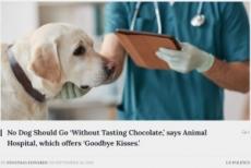 海外発 Breaking News 安楽死直前の犬に 最後のご褒美 動物病院の計らいが感動呼ぶ 米 記事詳細 Infoseekニュース 海外発 Breaking News 安楽死直前の犬に 最後のご褒美 動物病院の計らいが感動呼ぶ 米 記事詳細 Infoseekニュース