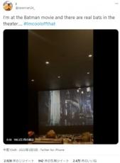 【海外発！Breaking News】バットマン上映中に映画館に本物のコウモリが迷い込む　観客ら「4D映画かな？」（米）＜動画あり＞