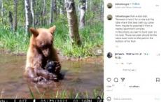 【海外発！Breaking News】施設から脱走した孤児のクマ、成長しクマのおもちゃと水遊びする姿に「心が溶けそう！」（米）