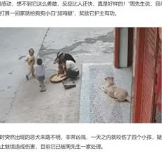 海外発 Breaking News 飼い犬 3歳男児を突然襲った犬に矢の如く飛びかかり救う 中国 動画あり 記事詳細 Infoseekニュース