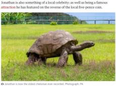 【海外発！Breaking News】190歳、世界最高齢の陸上生物になったゾウガメ　正確な誕生日は不明で200歳近い可能性も（英）