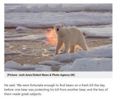 【海外発！Breaking News】朝日が作り出した幻想的な写真　北極で撮影されたシロクマが「火を噴いている！」と話題に