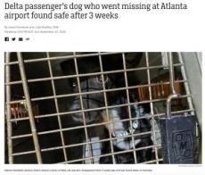 【海外発！Breaking News】空港で脱走し行方不明になった犬　3週間後に発見され、飼い主と再会（米）