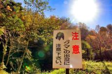 クマ殺処分めぐり「分断を煽るな」の声が...　秋田県議の対応に支持多数「想像力を働かせろください」