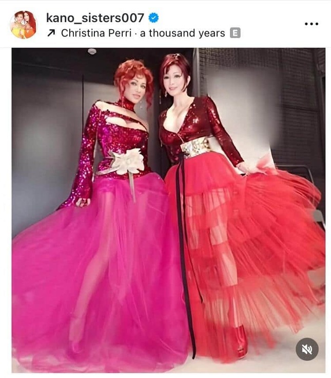 叶姉妹が似合いそうなイス 恭子？ 美香？ デザイナー家具 ディスプレイ品 叶姉妹が似合いそうなイス 恭子？ 美香？ デザイナー家具 ディスプレイ