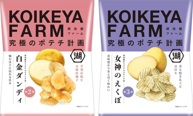 湖池屋、オリジナル・ブランド芋を使ったポテトチップス2商品　「白金ダンディ」と「女神のえくぼ」