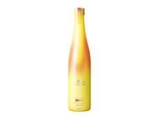 機能性表示食品「ReFa HEAT ON GINGER」　ショウガ由来ポリフェノール配合、体温を維持　