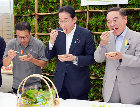 トマトを試食する岸田首相