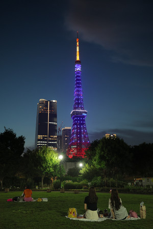 夜空に藍色の東京タワー