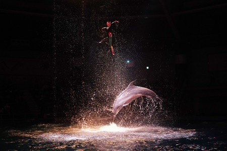 水族館で紅葉が満開