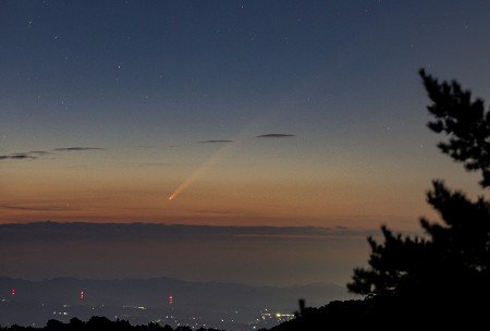 観測された紫金山・アトラス彗星