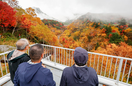 秋色に染まった十勝岳連峰