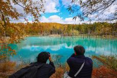 「青い池」周辺で紅葉が見頃