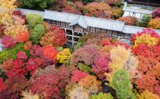 秋色に染まる東福寺