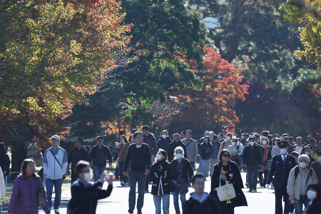 秋の乾通り、一般公開始まる